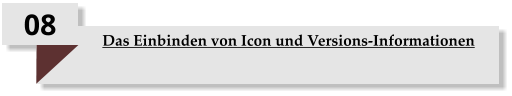 08 Das Einbinden von Icon und Versions-Informationen