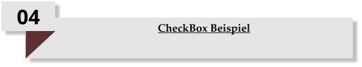 04 CheckBox Beispiel