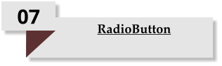 07 RadioButton