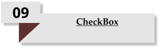 09 CheckBox